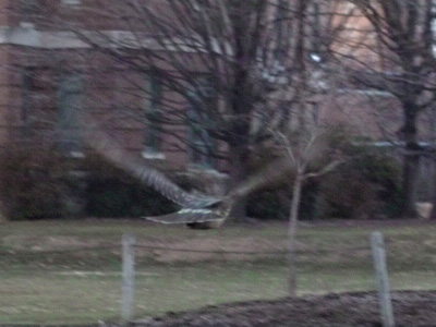 flying toward it