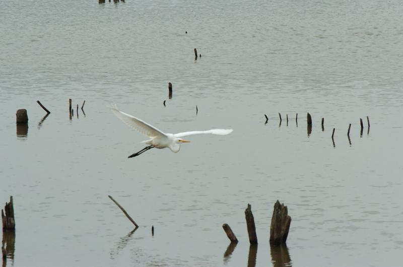 DSC_6195 copy.jpg