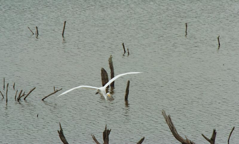 DSC_6219 copy.jpg