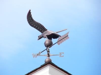 u38/10kzoomfz/medium/24732992.eagle_ashby_ma_po.jpg
