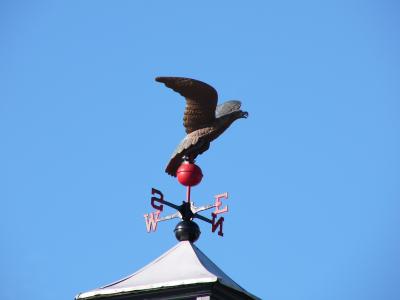 u38/10kzoomfz/medium/24733607.eagle01.jpg