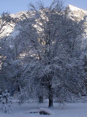 DSC00002.JPG