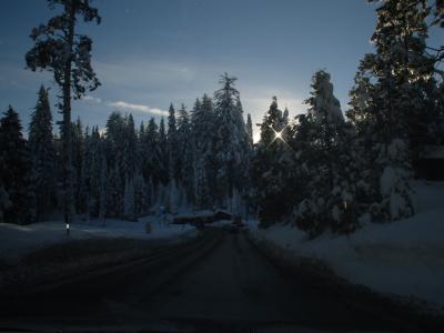 Fish Camp, Ca.