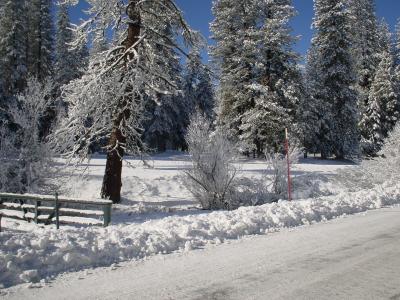 DSC00032.JPG
