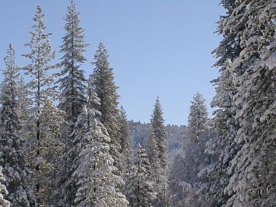 DSC00035.JPG