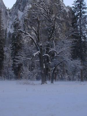 DSC00058.JPG