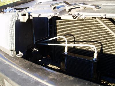 PC260472 (Medium).JPG
