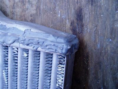 PC280494 (Medium).JPG