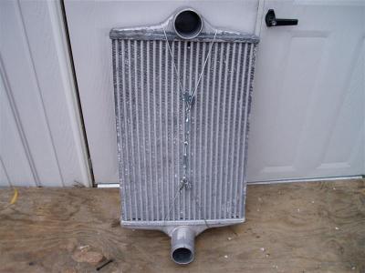 PC290495 (Medium).JPG