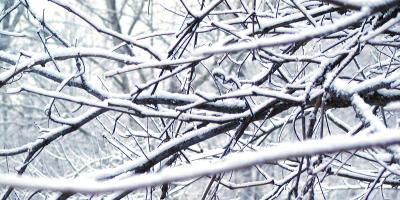 First Snow