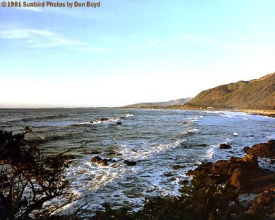 Beach at Paraparaumu, North Island, New Zealand