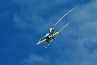 McDonnell Douglas F/A-18C Hornet