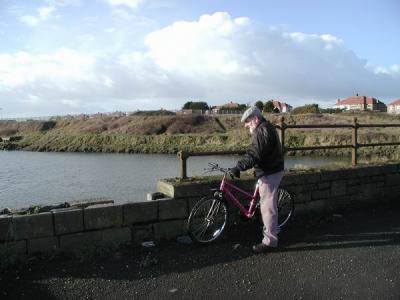 The famous Barbie bike