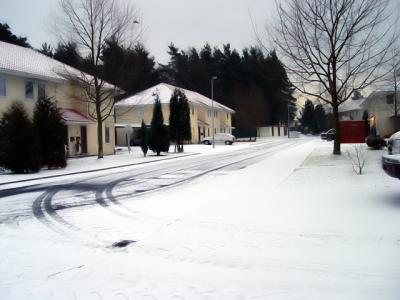3 JAN 2004