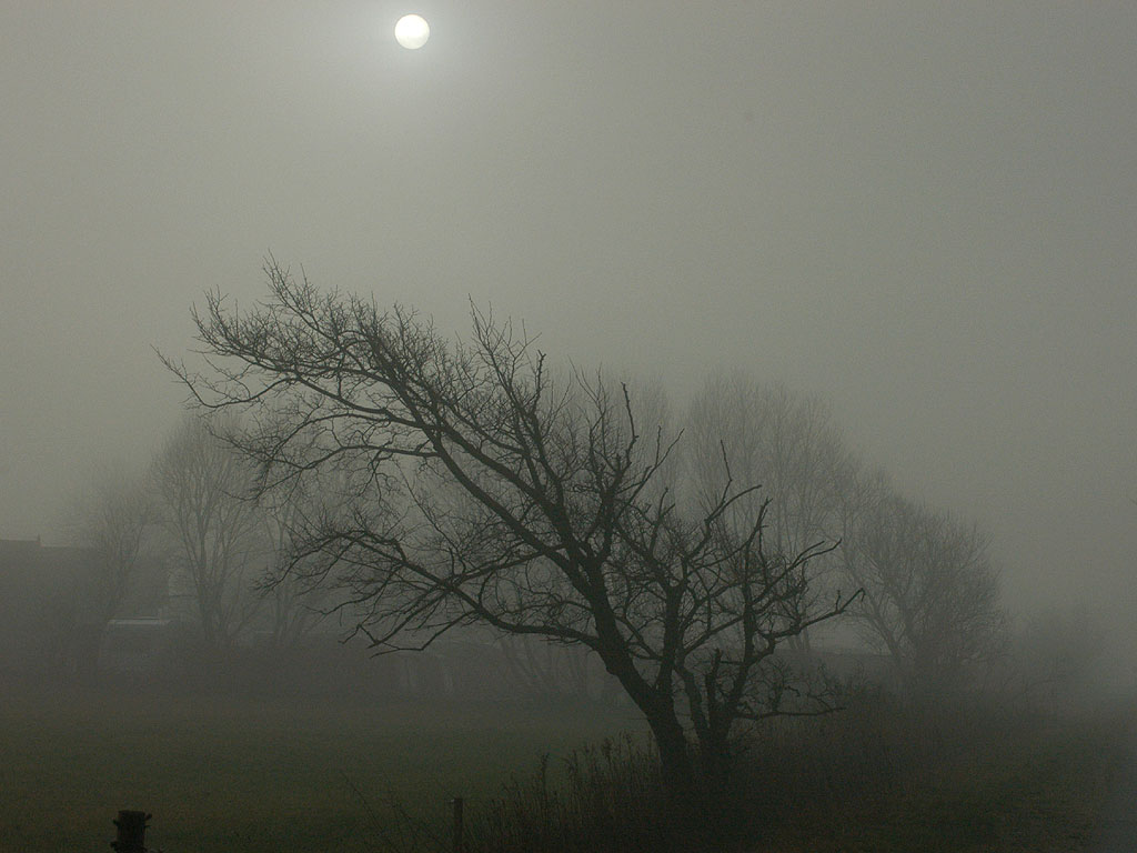 DSC_0004-foggy day
