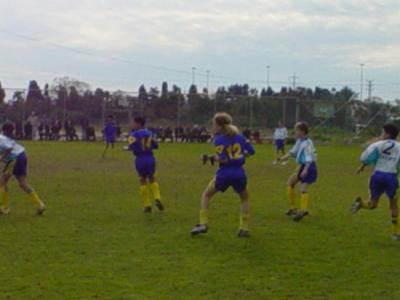 u38/alexg1/medium/25072329.alex36.jpg