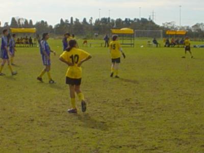 u38/alexg1/medium/25072447.alex14.jpg