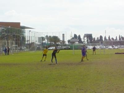 u38/alexg1/medium/25072449.alex16.jpg