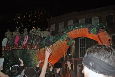 Krewe of Bacchus Parade