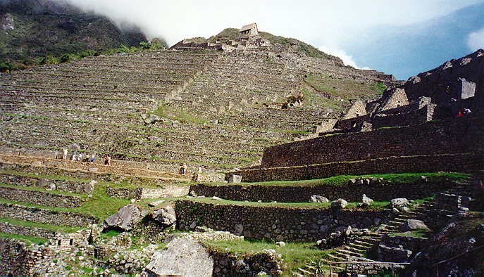 Part of the Agricultural sector