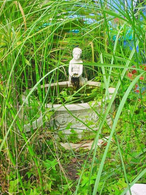 OvergrownFountain.jpg