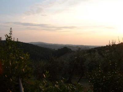 u38/anthonyr/medium/32386110.200408ItalyVarnaatnight13.jpg