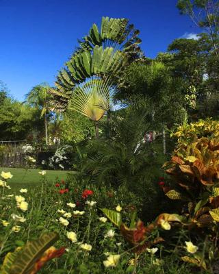 Batik Factory Gardens St Kitts