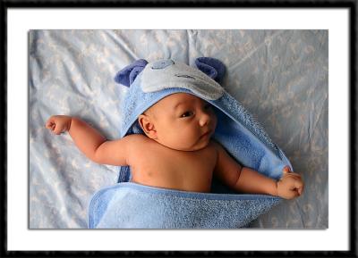 u38/areid/medium/24644606.12313.jpg