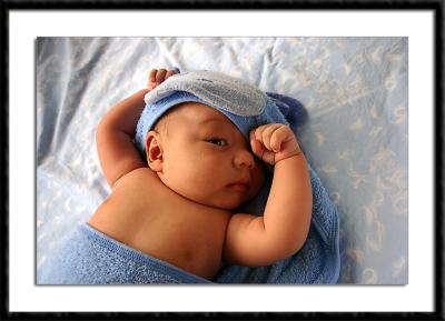 u38/areid/medium/24644758.12314.jpg