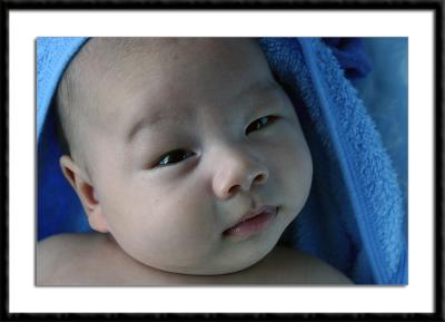 u38/areid/medium/24644893.12315.jpg