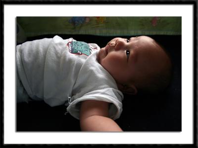u38/areid/medium/24886553.01061.jpg
