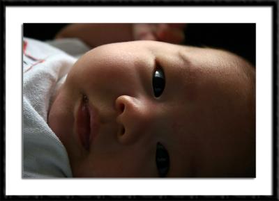 u38/areid/medium/24886556.01062.jpg