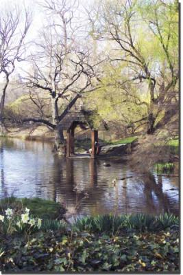 Central Park