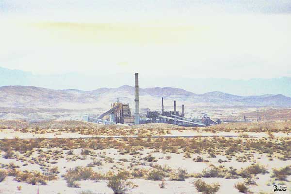 Desert Scene