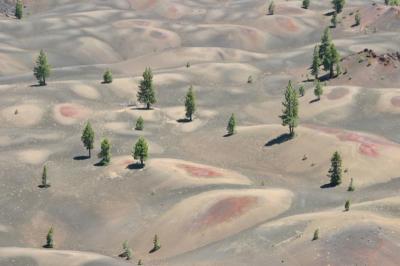 Painted Dunes from Above