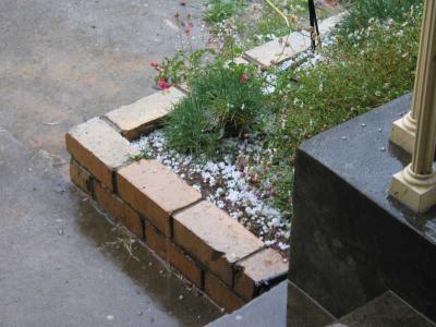 See we get snow too