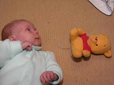 Pooh takes a fall