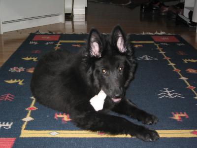 sam 02/27 002.jpg