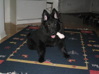 sam 02/27 003.jpg