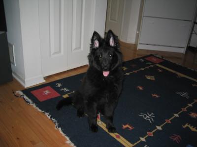 sam 02/27 004.jpg