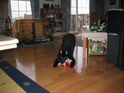 sam 02/27 008.jpg