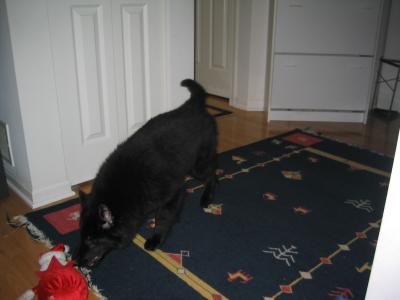 sam 02/27 010.jpg