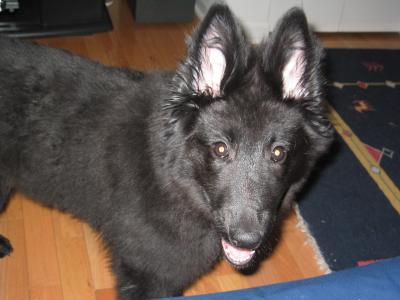 sam 02/27 011.jpg