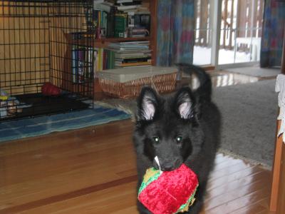 sam 01/29 004.jpg