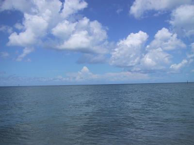 IMG_2049.JPG