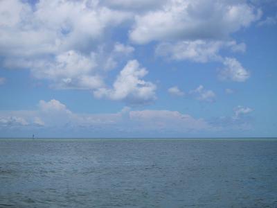 IMG_2052.JPG