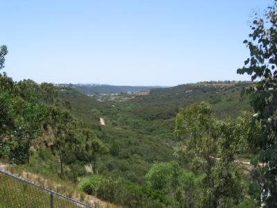 The view from our deck overlooking the canyon preserve