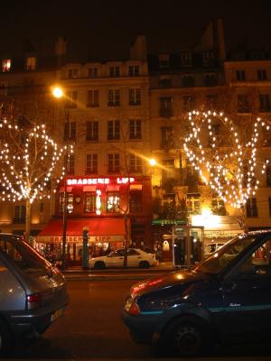 Brasserie Lipp in St-Germain // Paris