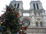 With the Christmas tree // Paris