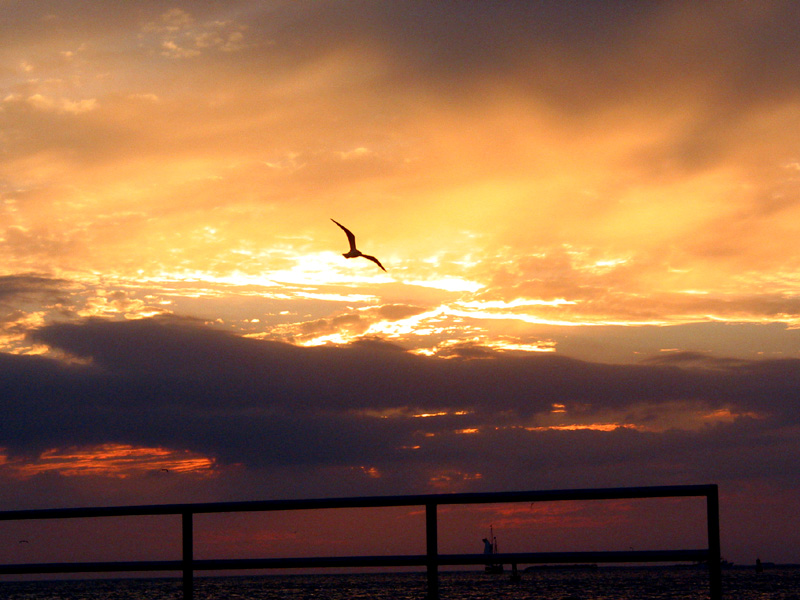 Key West Sunset